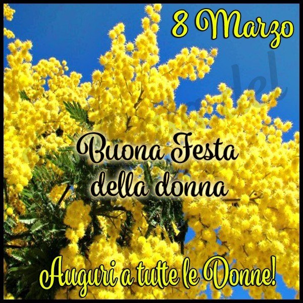 Festa della Donna alezio lecce